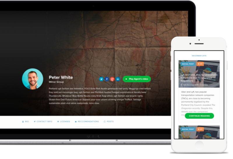 Agent website preview